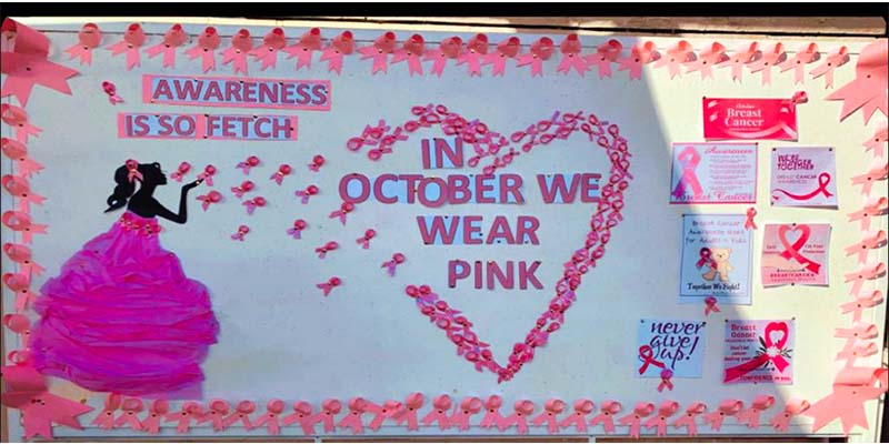 AJN Breast Cancer Awareness Website 2
